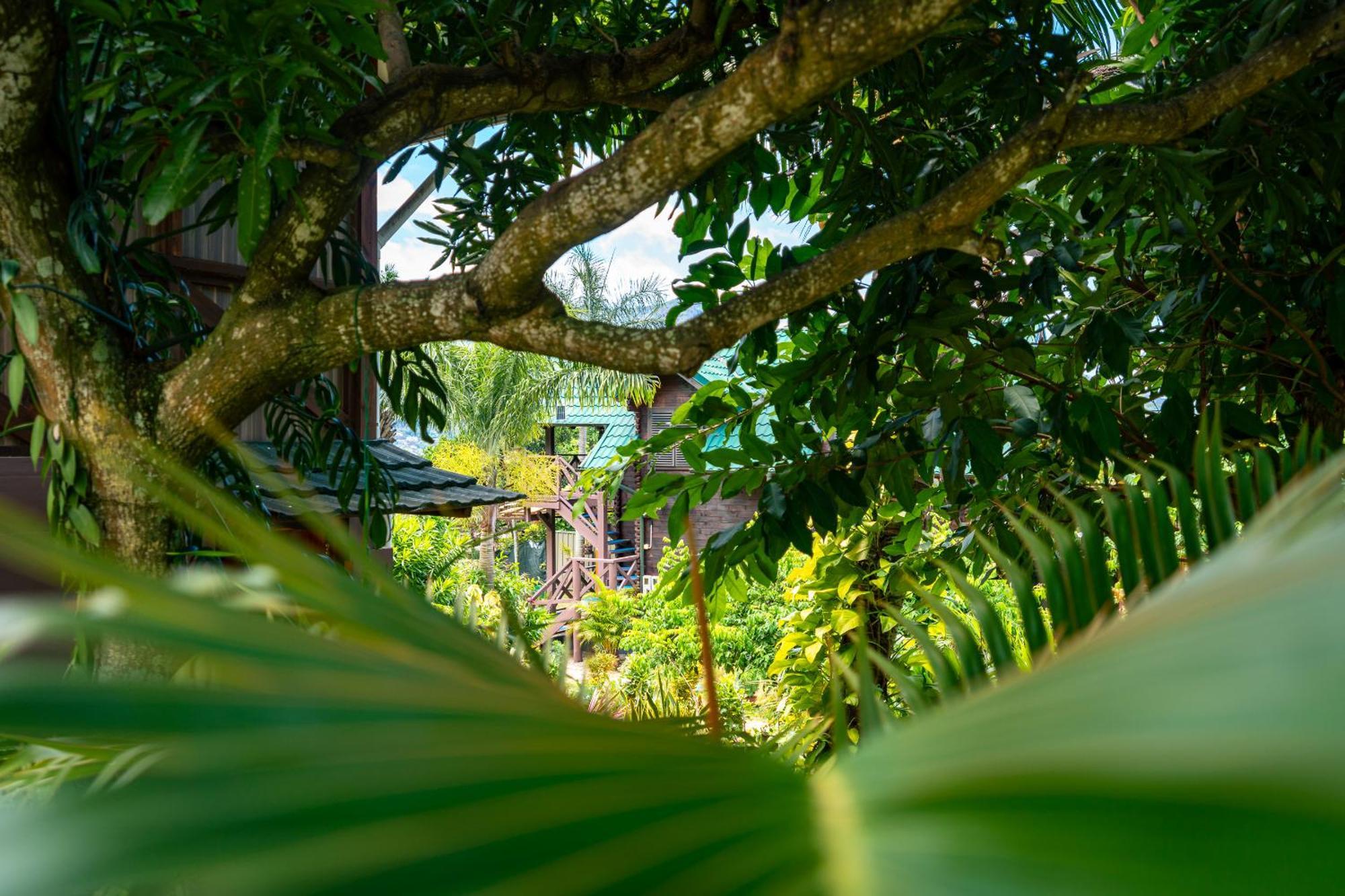 Lemongrass Lodge Beau Vallon  Exterior foto